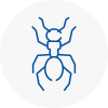 Ant Removals In Ince