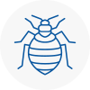 Bed Bug Extermination In Ince