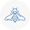 Bee Nest Removal Ince