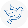 Bird Prevention Ince