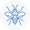 Ince Hornet Nest Removals