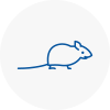 Mice Exterminators In Ince