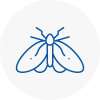 Moth Control Specialists In Ince
