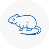 Rat Control Ince