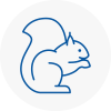 Ince Rodent Removals