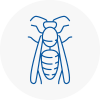 Ince Wasp Nest Removal